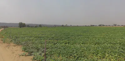 Bansur-Kotputli Rd, Kotputli, Rajasthan, India preview 3