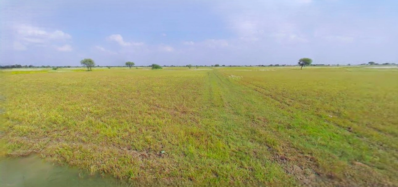 Bijnor, Uttar Pradesh 246701, India