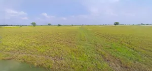 Bijnor, Uttar Pradesh 246701, India preview 3