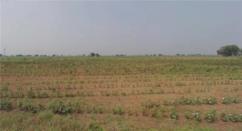 karle, Maharashtra, India