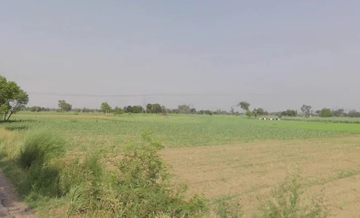 Alamgir Pur, Uttar Pradesh 250502, India preview 3