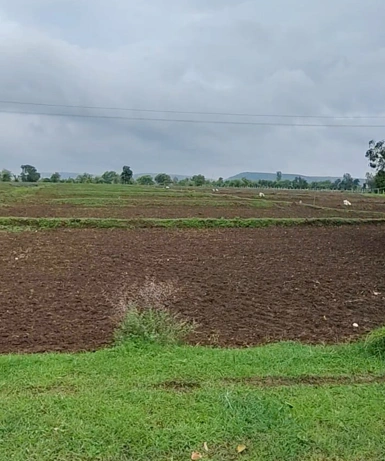 Shahgarh, Sagar, Madhya Pradesh 470339, India