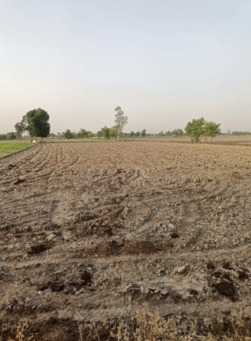 Katani Kalan, Punjab 141113, India