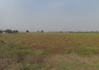 Silani, Haryana 124103, India preview 3