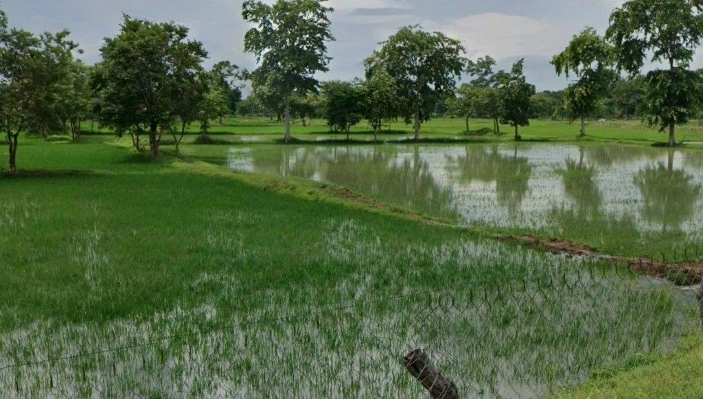 Kusmi, Chhattisgarh 491332, India preview 2