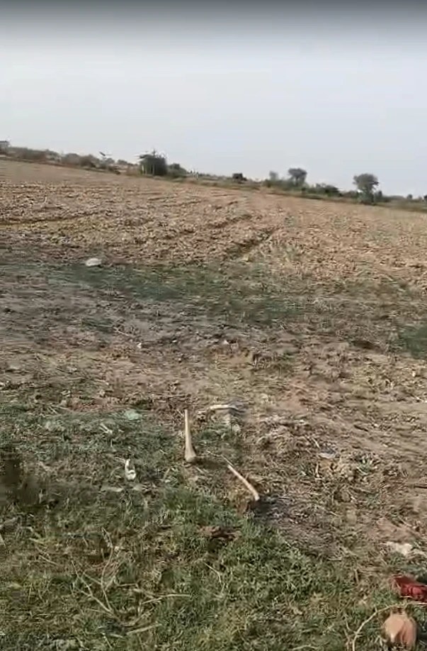 Baseri, Rajasthan 328022, India