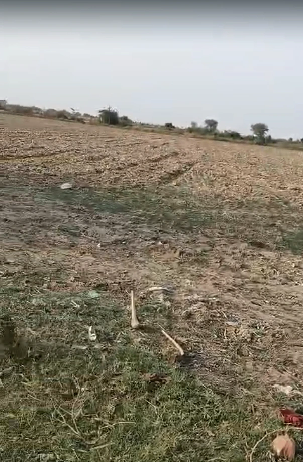 Baseri, Rajasthan 328022, India