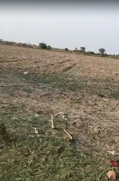Baseri, Rajasthan 328022, India preview 3