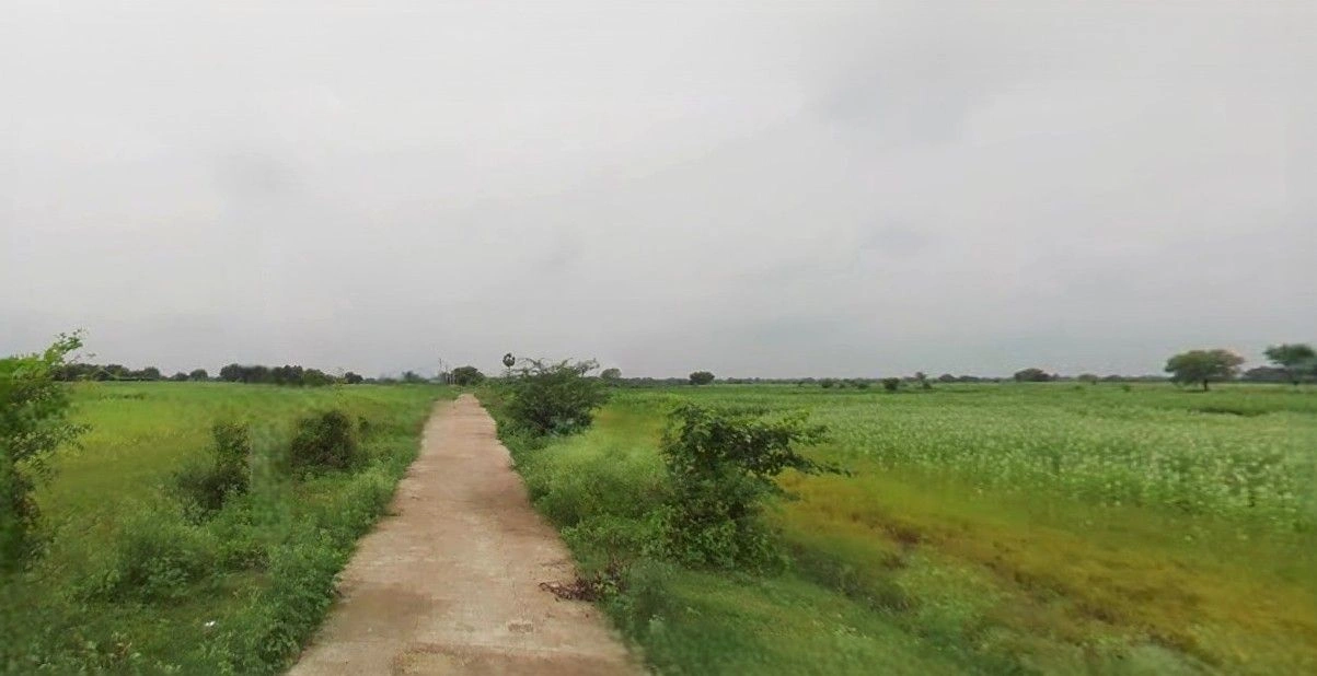 Hasanpur, Uttar Pradesh 244241, India