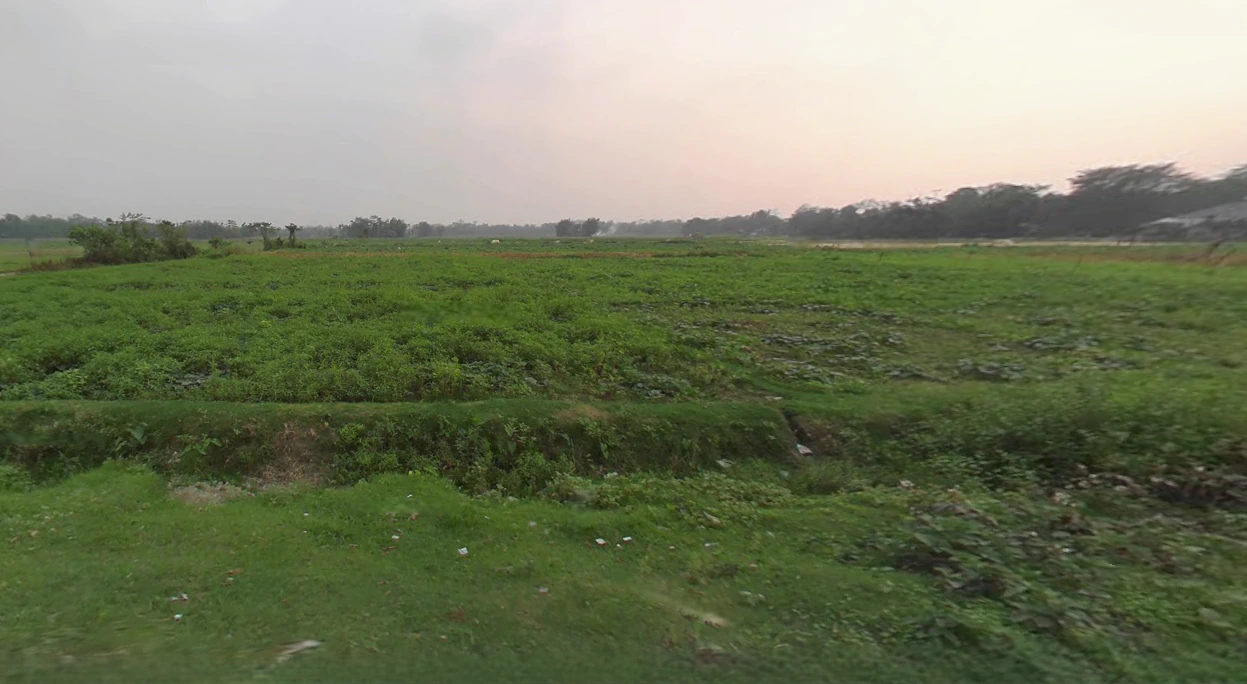 MMXW+VMG, Prantik Station Rd, Prantik, Bolpur, West Bengal 731235, India
