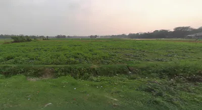 MMXW+VMG, Prantik Station Rd, Prantik, Bolpur, West Bengal 731235, India preview 3