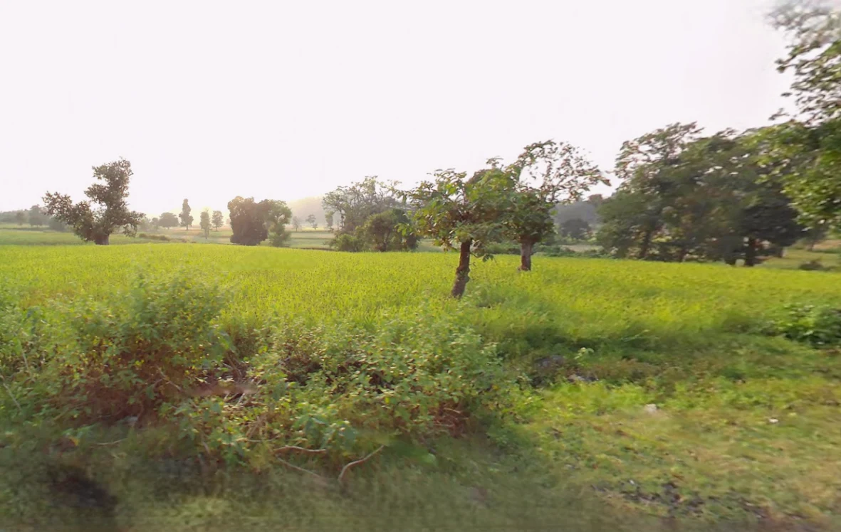 Bolpur, West Bengal 731204, India preview 2