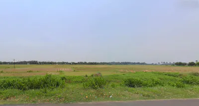 Sipasurubili, Odisha, India preview 3