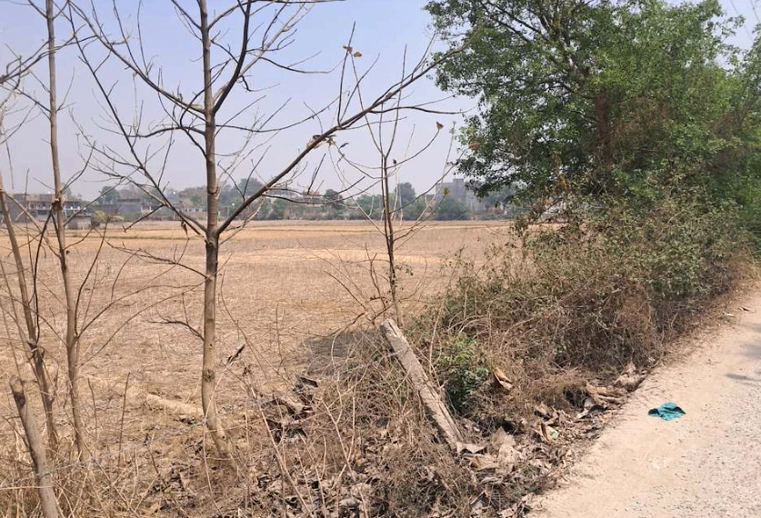 Barnagar, Madhya Pradesh 456771, India