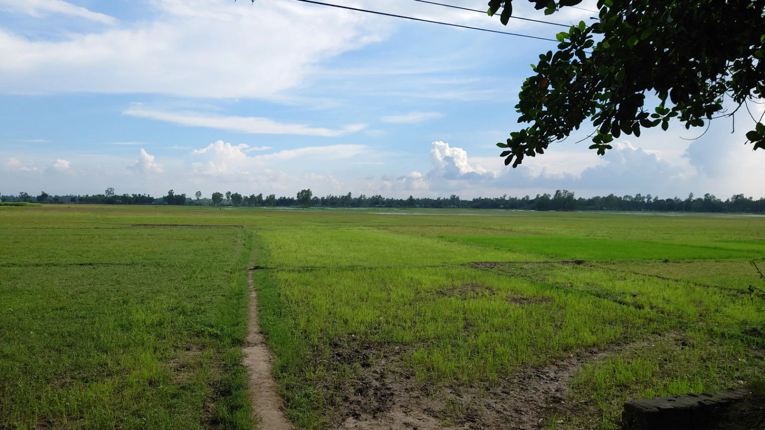 Dharmawala, Herbertpur, Uttarakhand 248142, India