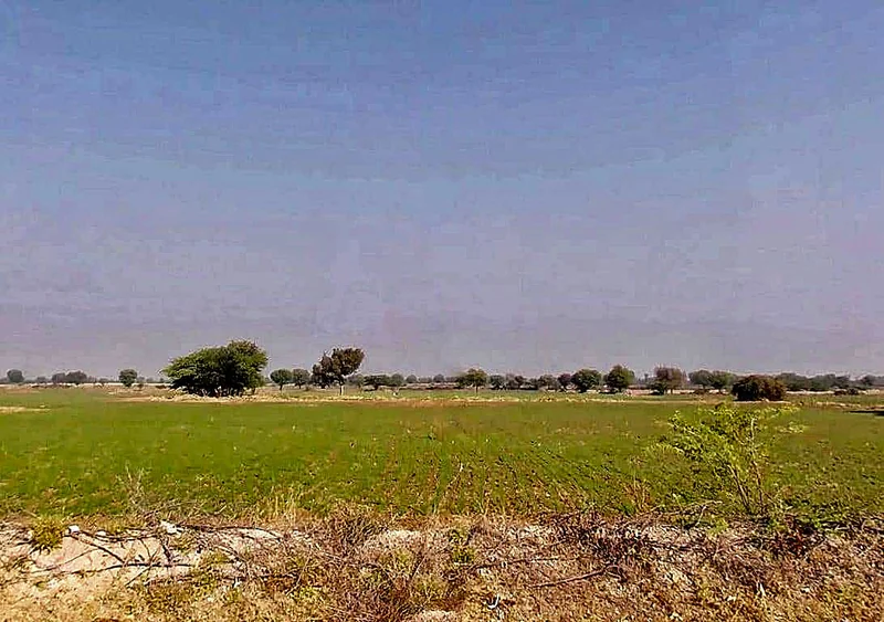 Dhoblai, Rajasthan 303712, India preview 3