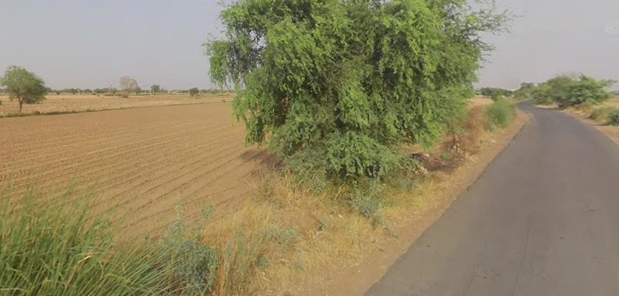 NH 8 Bypass Rd, Burmese Colony, Jaipur, Rajasthan, India
