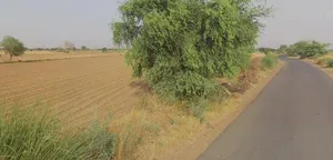 NH 8 Bypass Rd, Burmese Colony, Jaipur, Rajasthan, India preview 3