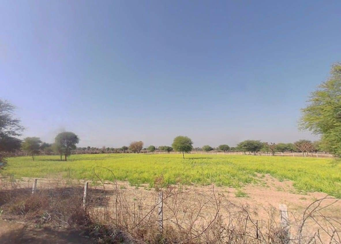 RCWJ+Q2 Kot Jewar, Rajasthan, India preview 2