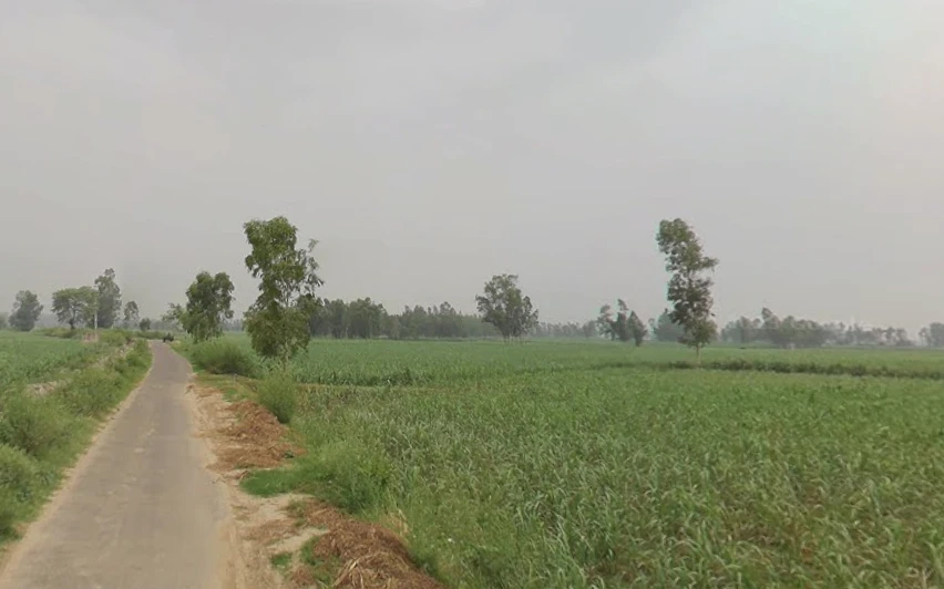 Hastinapur, Uttar Pradesh 250404, India