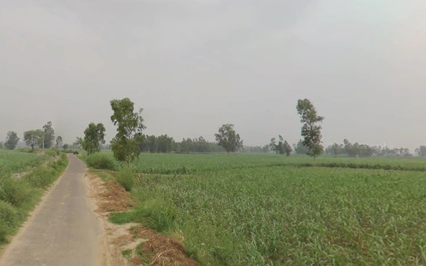 Hastinapur, Uttar Pradesh 250404, India