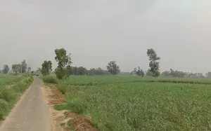 Hastinapur, Uttar Pradesh 250404, India preview 2