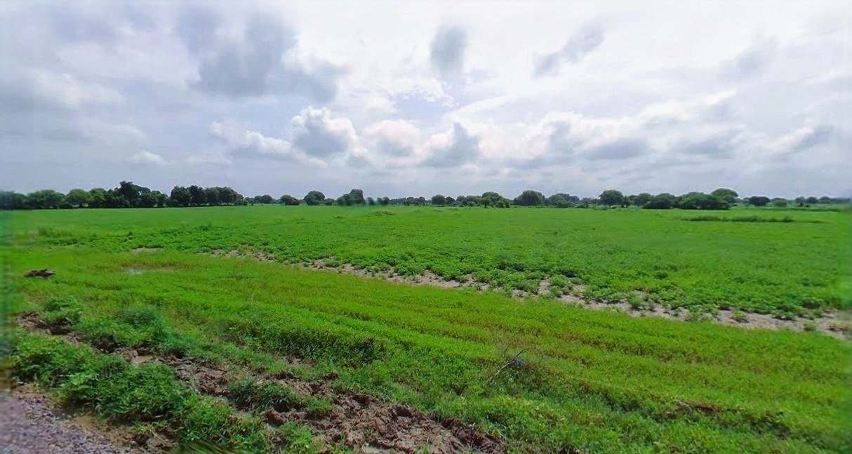 Sohna, Haryana 122103, India