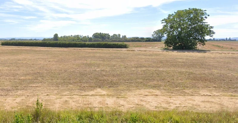 Chargawan, Madhya Pradesh 482003, India preview 3