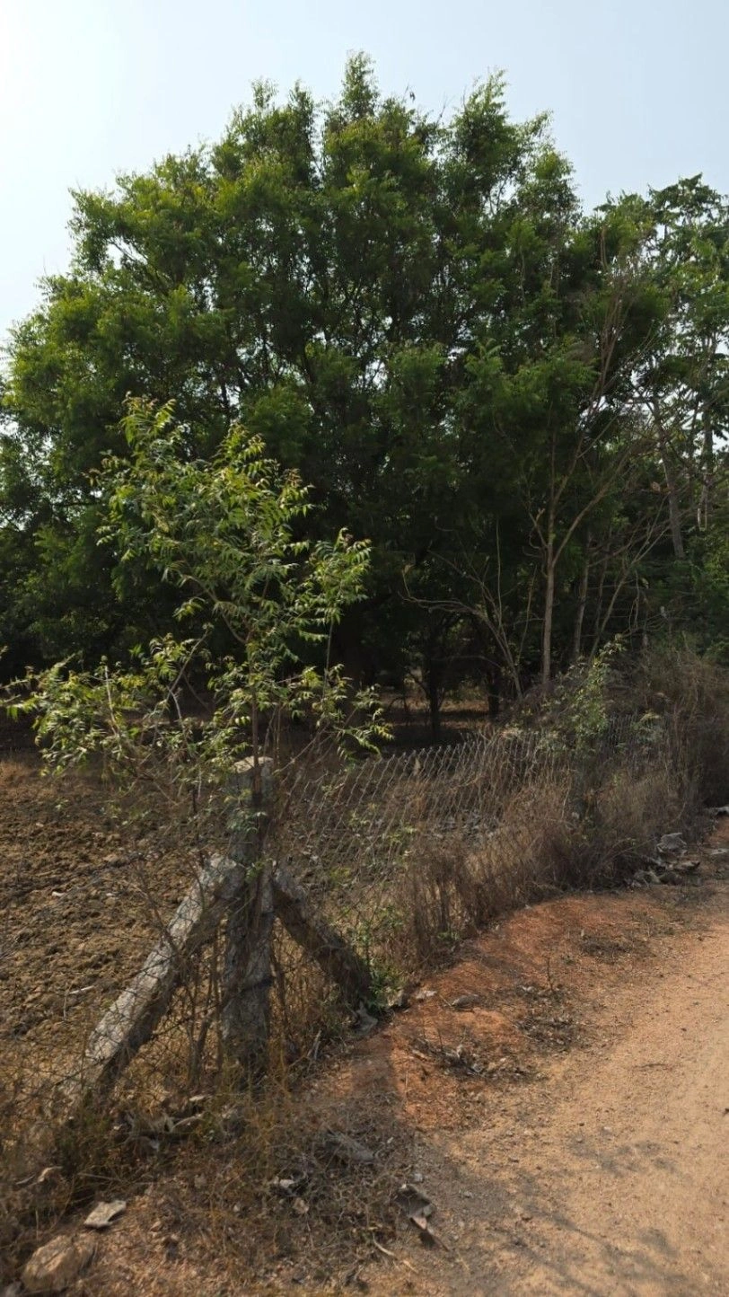 Chada, Telangana 508111, India