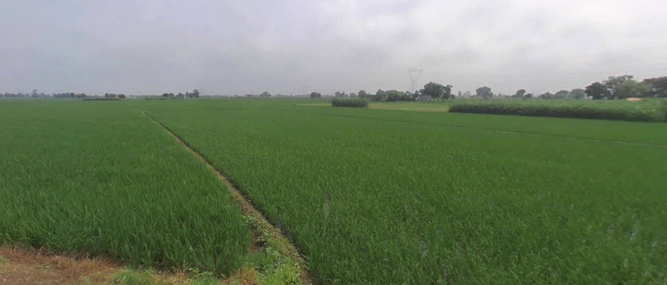 Rasanheri, Punjab, India