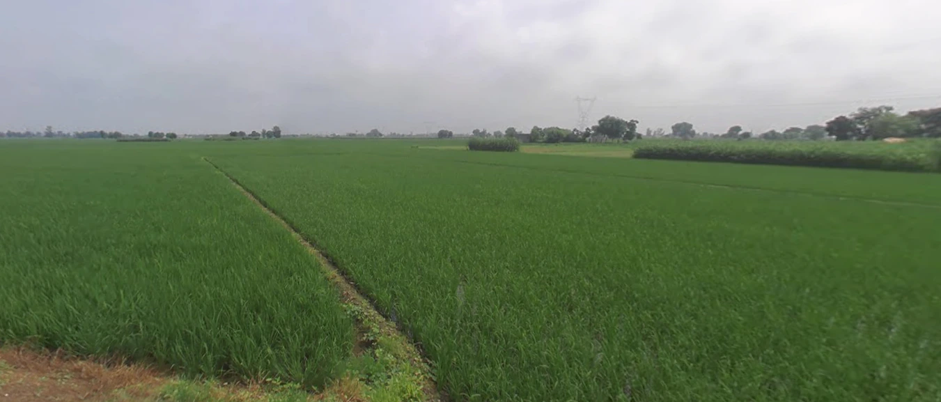 Rasanheri, Punjab, India