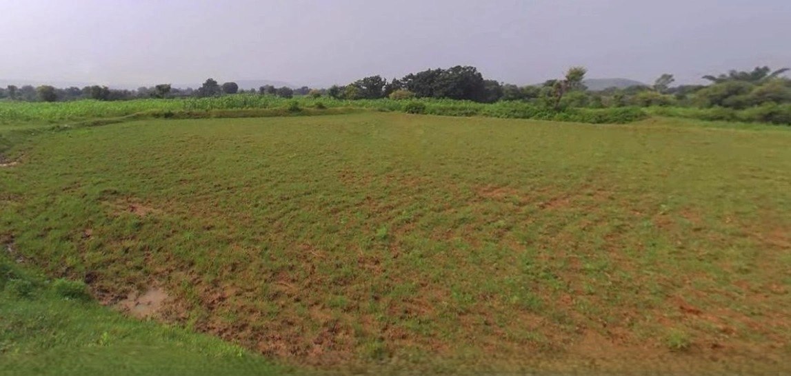 Barnagar, Madhya Pradesh 456771, India