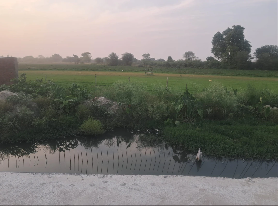 Dusarana, Punjab 140103, India