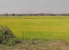 Ward Number 15, Kumhari, Chhattisgarh 490042, India preview 3