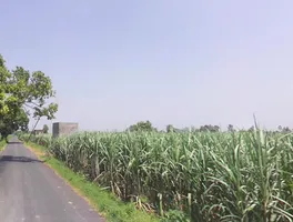 Chuchawali, Uttar Pradesh 245205, India preview 3