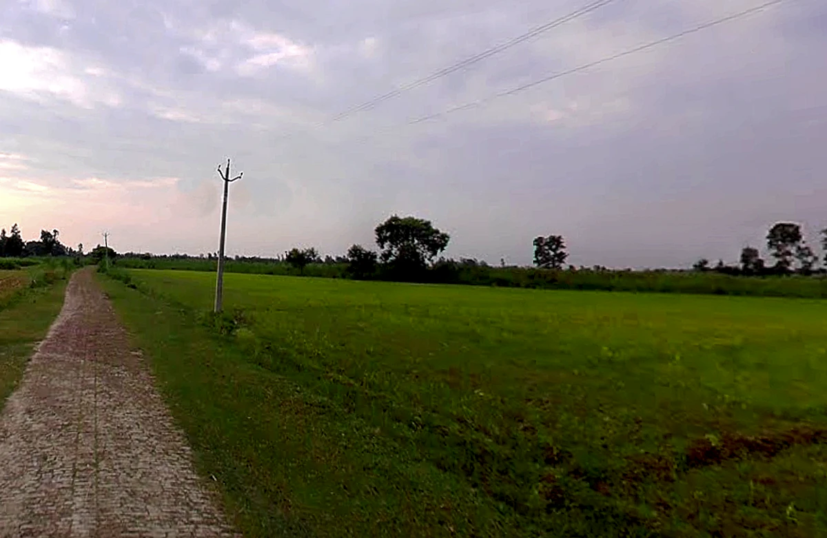 Siali, Uttar Pradesh 251320, India