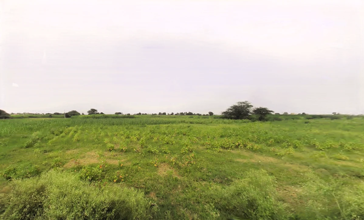 Saveli, Haryana 121105, India