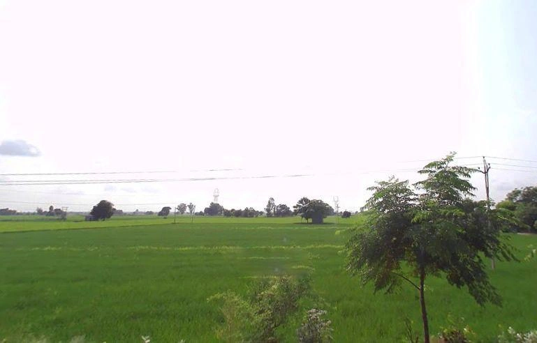 Badhni, Badhni Kalan, Punjab 142037, India