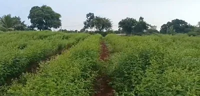 CXJ5+PR Nawabpet, Vikarabad, Telangana, India preview 3