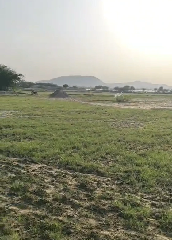 8P28+JQ9, Tonk, Peeplu, Rajasthan 304801, India