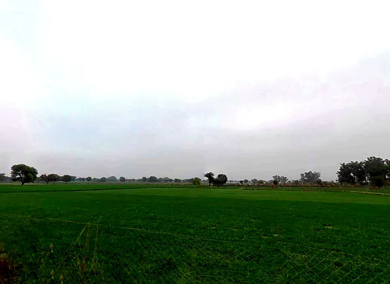 Bassi Naaga, Jaipur, NH-8, Ajmer Road, Jobner, Jobner, Rajasthan 303329, India preview 2