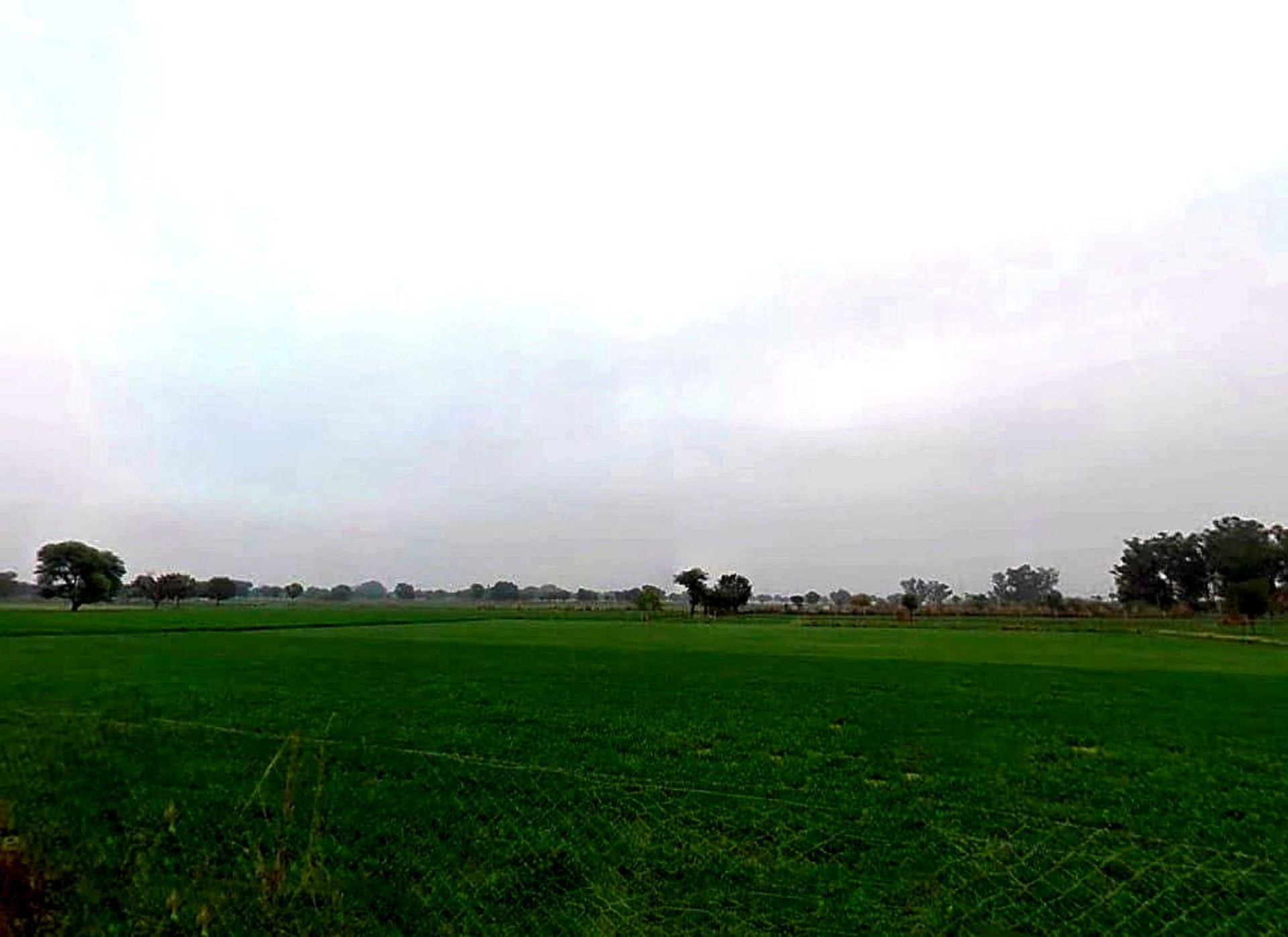 Bassi Naaga, Jaipur, NH-8, Ajmer Road, Jobner, Jobner, Rajasthan 303329, India