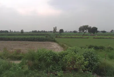 Hasanpur, Uttar Pradesh 244241, India preview 2