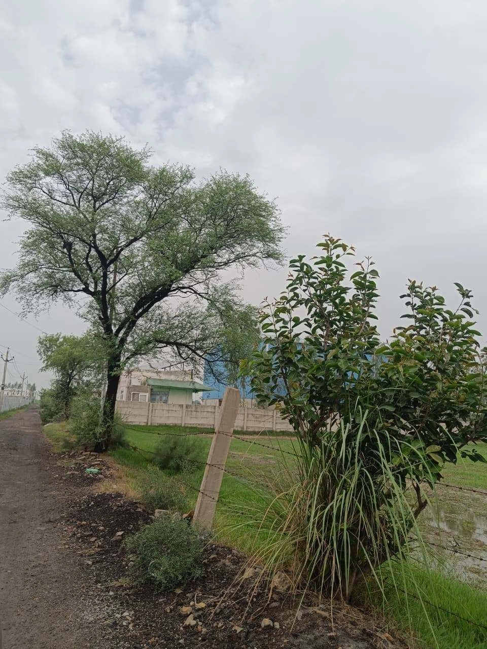 Adampur, Uttar Pradesh, India preview 4