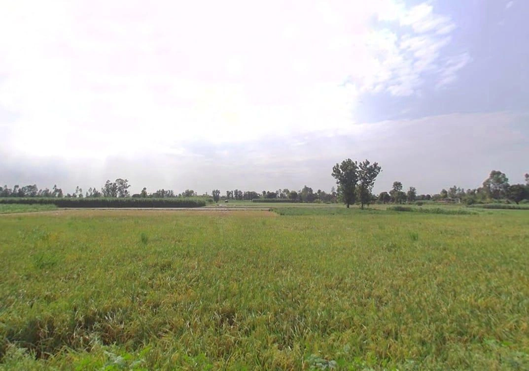 00, Saharanpur, Gangoh, Uttar Pradesh 247341, India