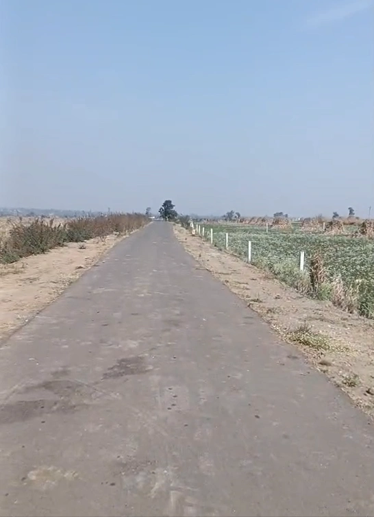 772Q+66M, Kamareddy, Rajampet, Telangana 503110, India