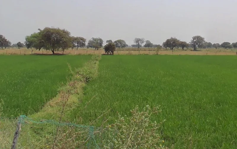 Samesar, Chhattisgarh 491337, India preview 2