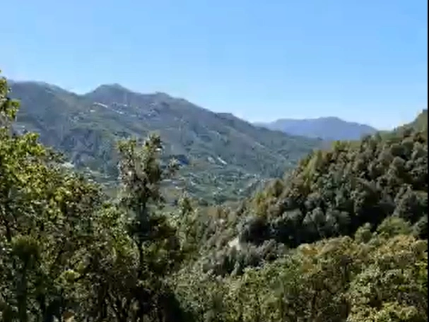 9H5X+H2R, Bhowali Range, Uttarakhand, India preview 3