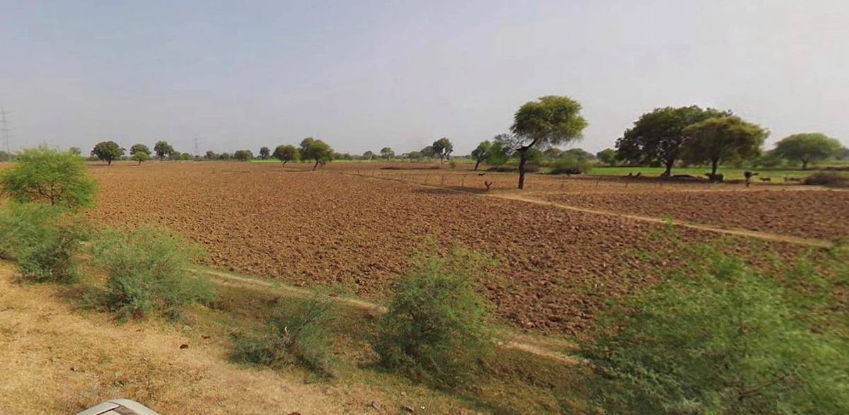 Silothi, Haryana, India