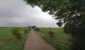 Kothi, Madhya Pradesh 485666, India preview 3